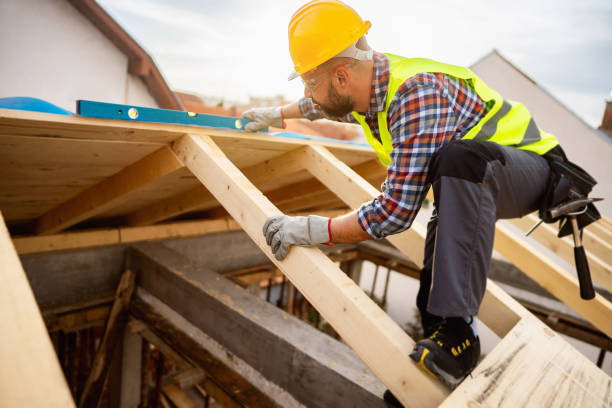Best Roof Maintenance Services  in Ohkay Owingeh, NM